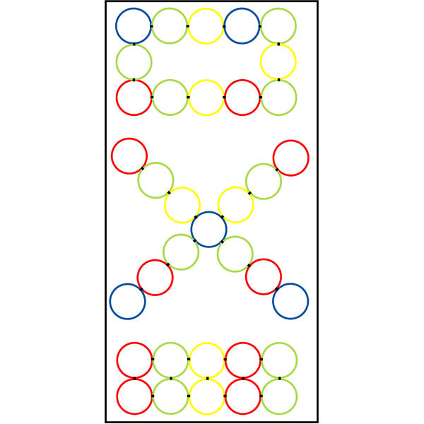 Hoop Agility Ladder