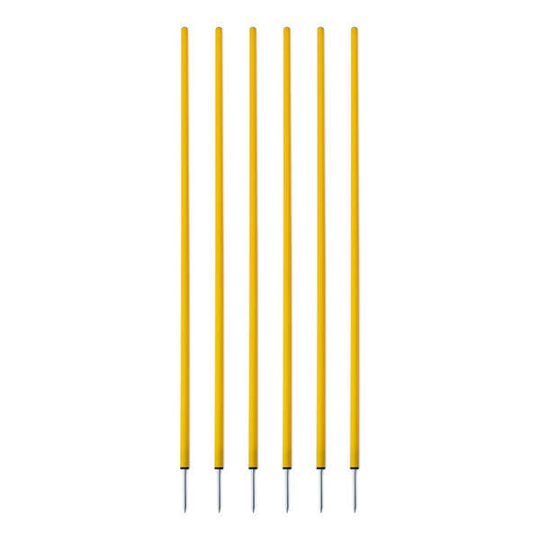 Coaching Stick, Set of 6, Yellow