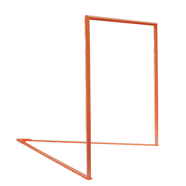 Pro Collegiate Lacrosse Goal